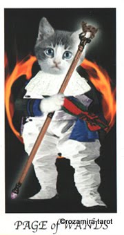 Cat's House Tarot by Hiroko Miyamoto